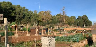 Obres de millora de la bassa dels horts de Can Casanovas de Montgat