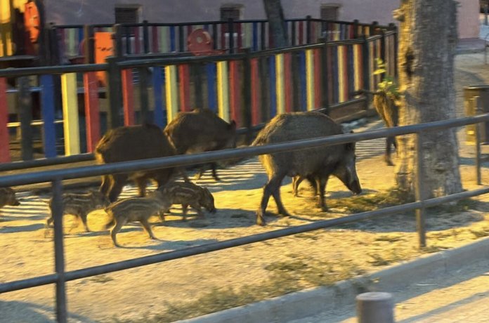 3EE9EE4D-C463-4AA9-9F45-DC39E7402262