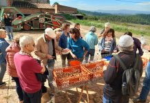 Catalunya celebra la Setmana Bio amb més de 450 activitats