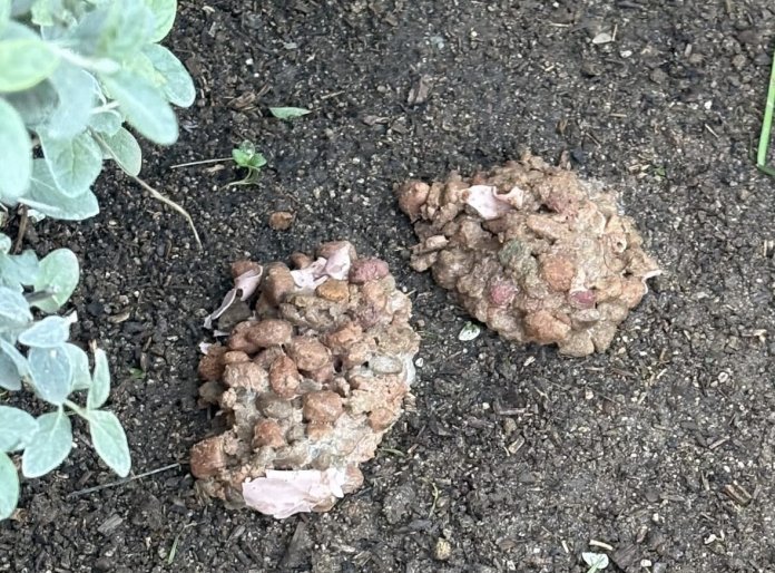 C7B59067-73CC-4F6C-A87E-255E5803AFB7