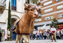 El Bou de Badalona celebra el primer aniversari a la Medieval amb una exposició a la Masia de Canyadó
